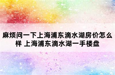 麻烦问一下上海浦东滴水湖房价怎么样 上海浦东滴水湖一手楼盘